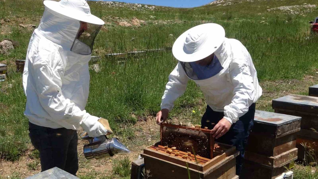 Toroslarda bahar: 2 bin 400 rakıma taşınan arılar mesaiye başladı