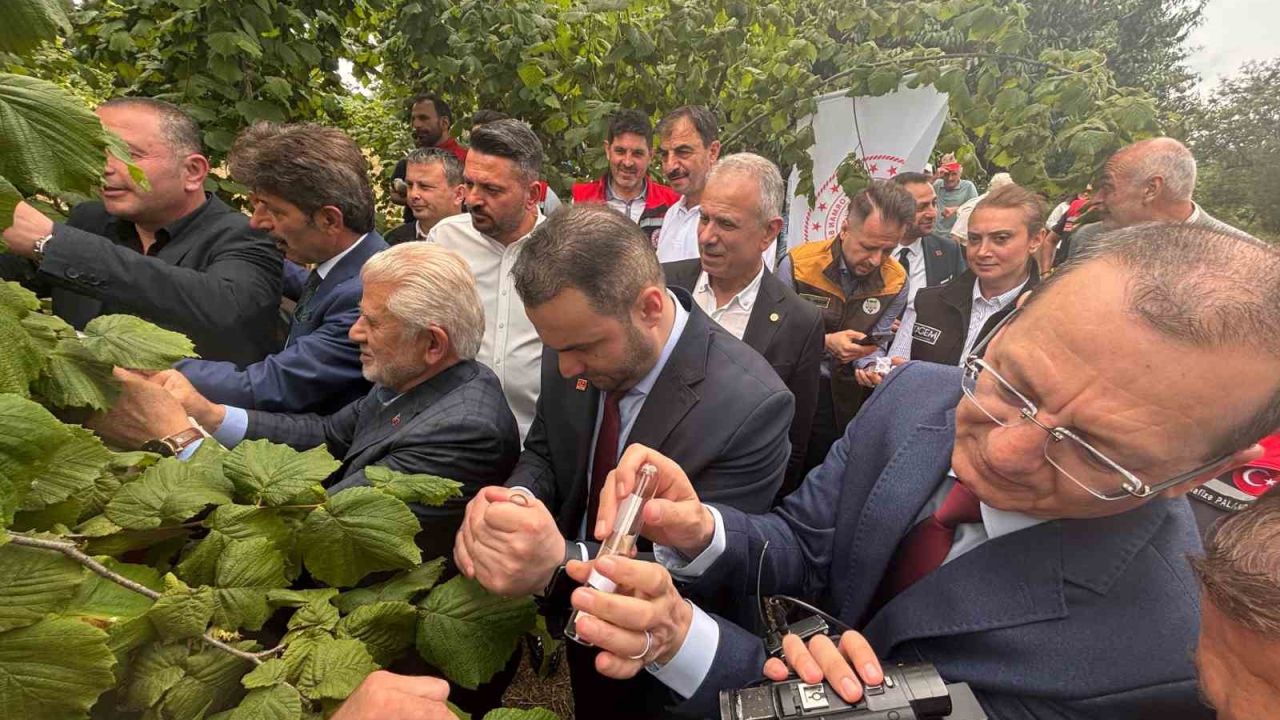 Trabzon’da kahverengi kokarcaya karşı doğal ordu göreve başladı