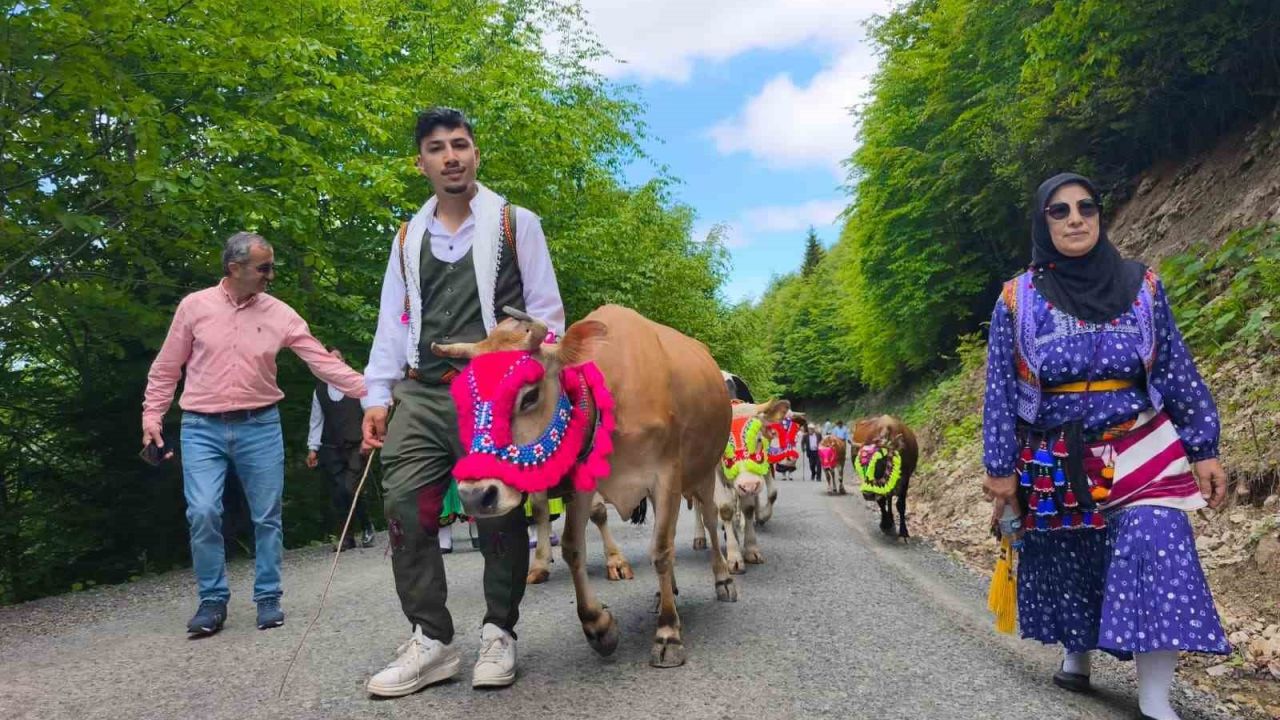 Trabzon’un Şalpazarı ilçesinde geleneksel yayla göçü başladı