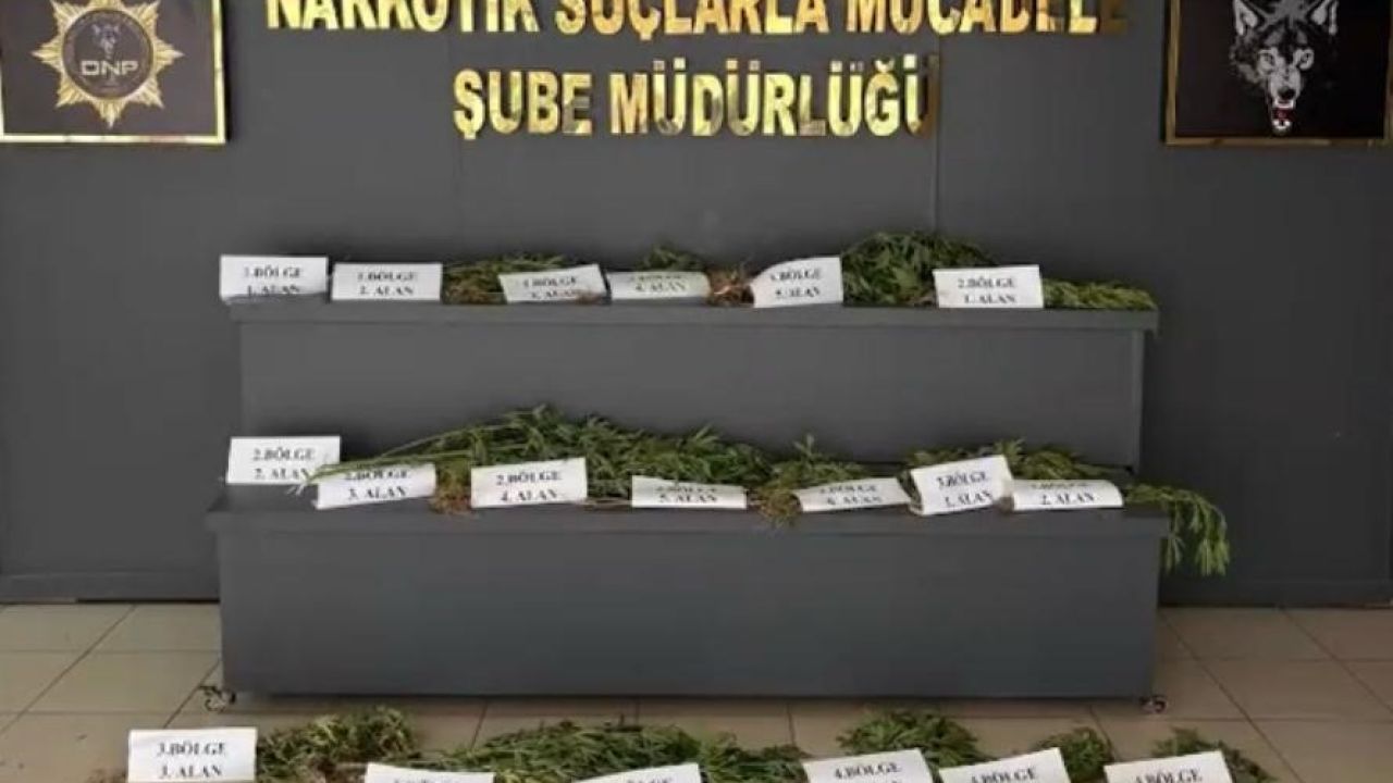 UNESCO Dünya Mirası Listesi’ndeki Hevsel Bahçeleri’nde uyuşturucu ele geçirildi