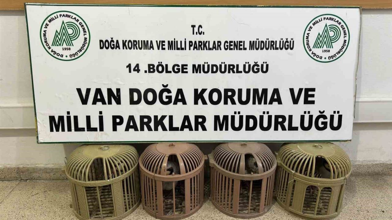 Van’da kaçak avcılığa 51 bin 878 TL ceza