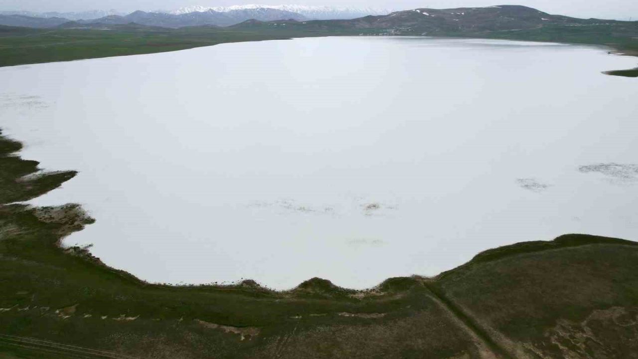 Van’ın kuş cenneti Akgöl misafirlerini bekliyor