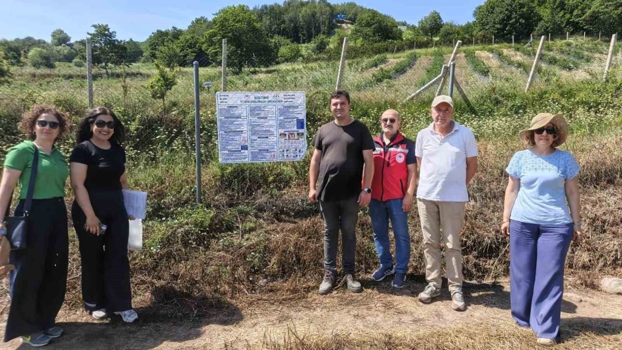Yalova’da yaban mersininde iyi tarım uygulamaları denetleniyor