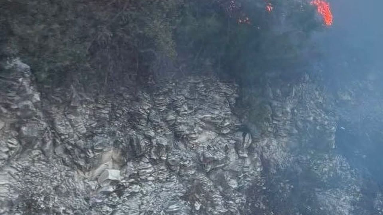 Yayladağı’nda ormanlık alanda çıkan yangın kontrol altına alındı