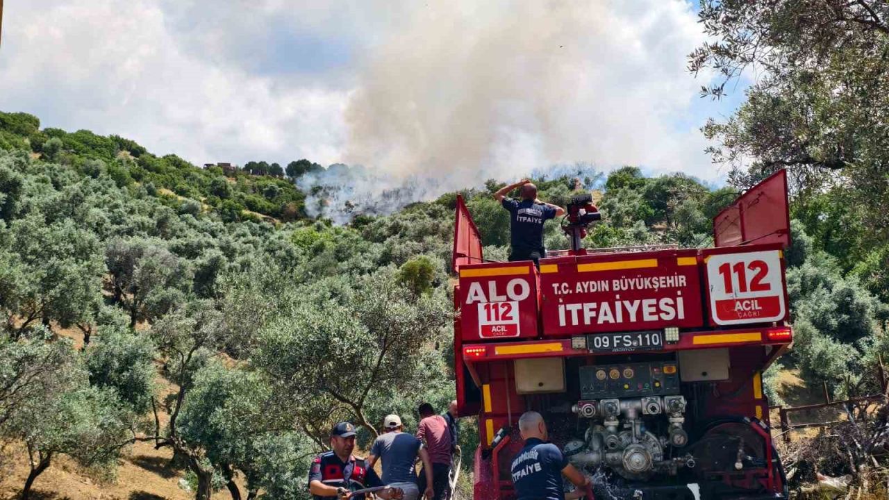 Yenipazar’daki makilik yangını kontrol altına alındı
