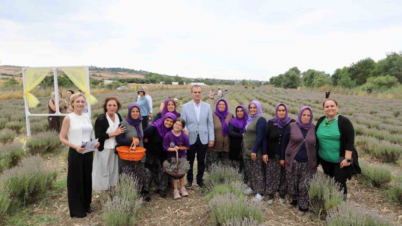 8’inci Lavanta Hasat Şenliği renkli görüntülere sahne oldu
