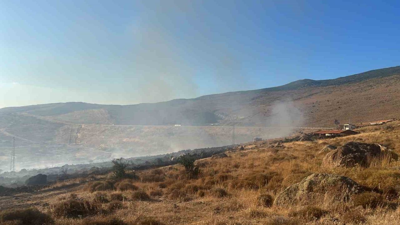 Aliağa’da otluk alanda yangın