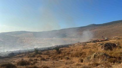 Aliağa’da otluk alanda yangın