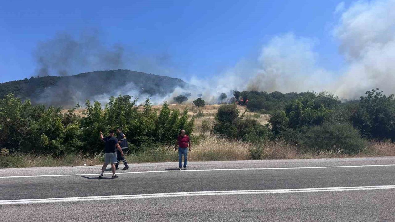 Ayvacık’ta orman yangını