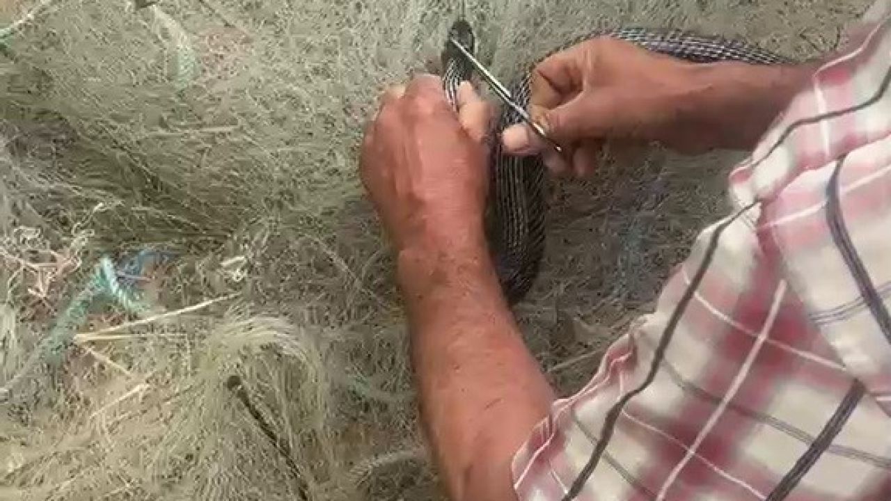 Balık ağında mahsur kılan yılanı elleriyle kurtardı
