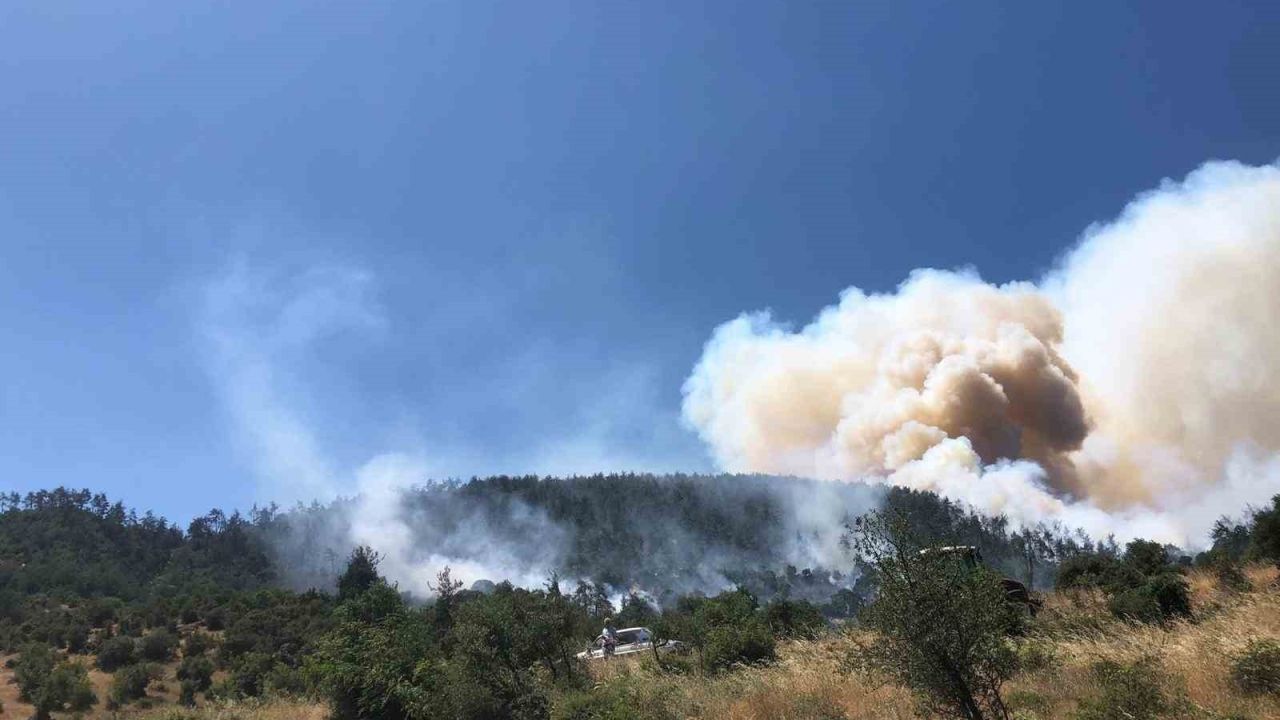 Balıkesir Kepsut’ta orman yangını