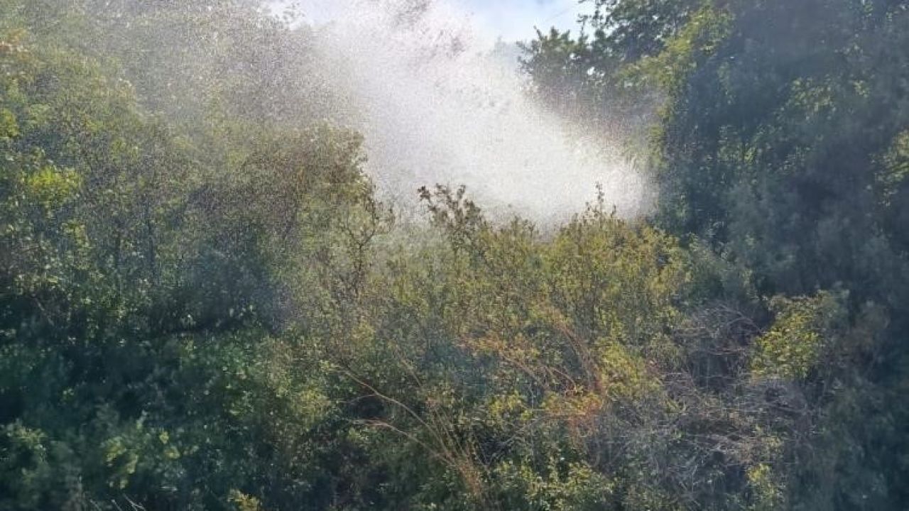 Balıkesir’de dün 5 farklı alanda zirai alan yandı