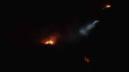 Balıkesir’de gece yarısı orman yangını çıktı