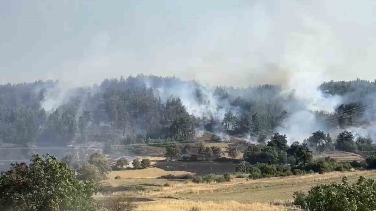Balıkesir’de orman yangınına müdahale sürüyor