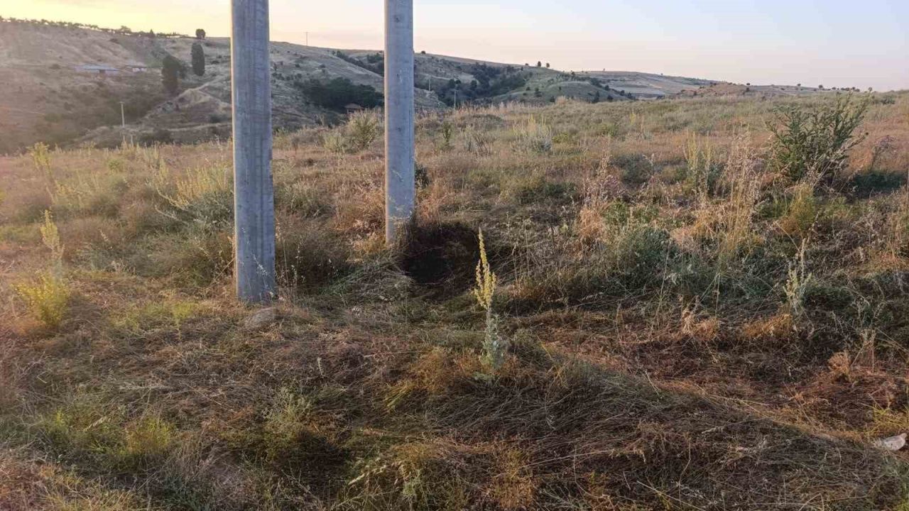 Bilecik’te elektrik akımına kapılan kuş yangına sebep oldu