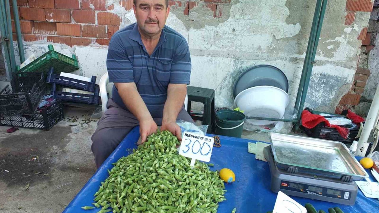 Burhaniye’de bamya üreticisine kazandırdı
