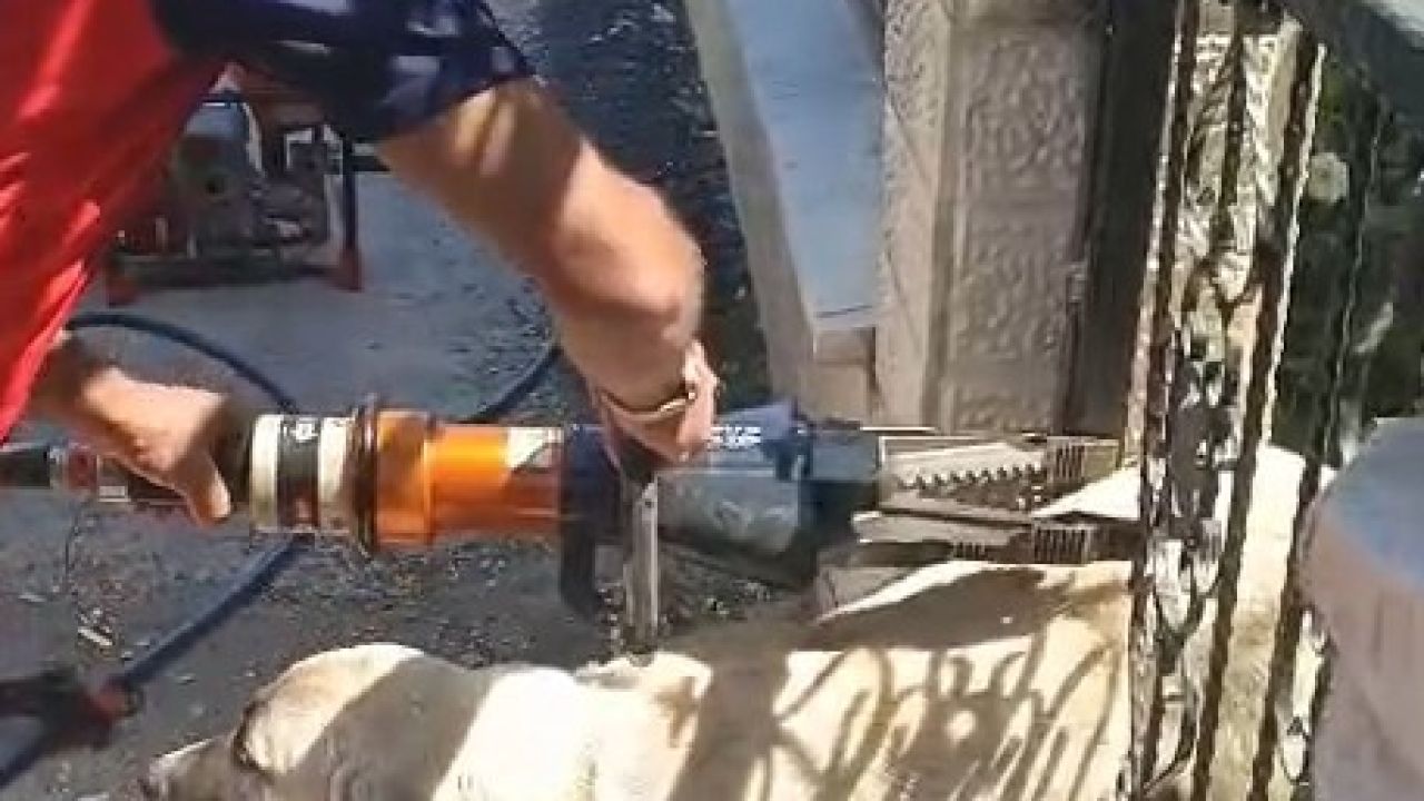 Demir kapıya sıkışan köpeği itfaiye kurtardı