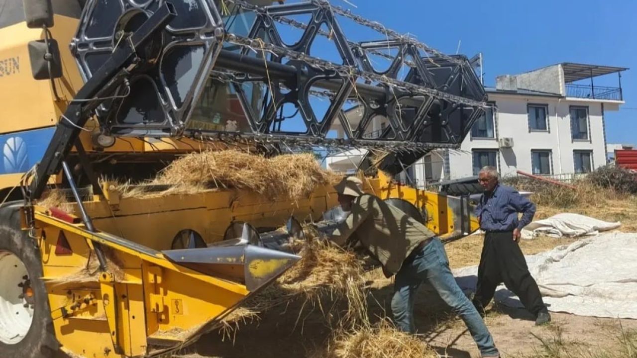 Elazığ’da biçerdöverler denetlendi