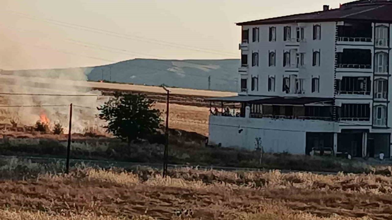 Elazığ’da buğday tarlasında yangın