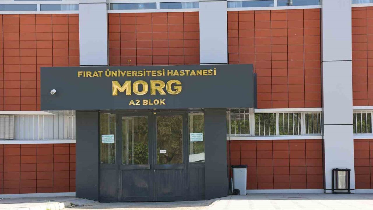 Elazığ’da iş makinesinin altında kalan işçi, hayatını kaybetti