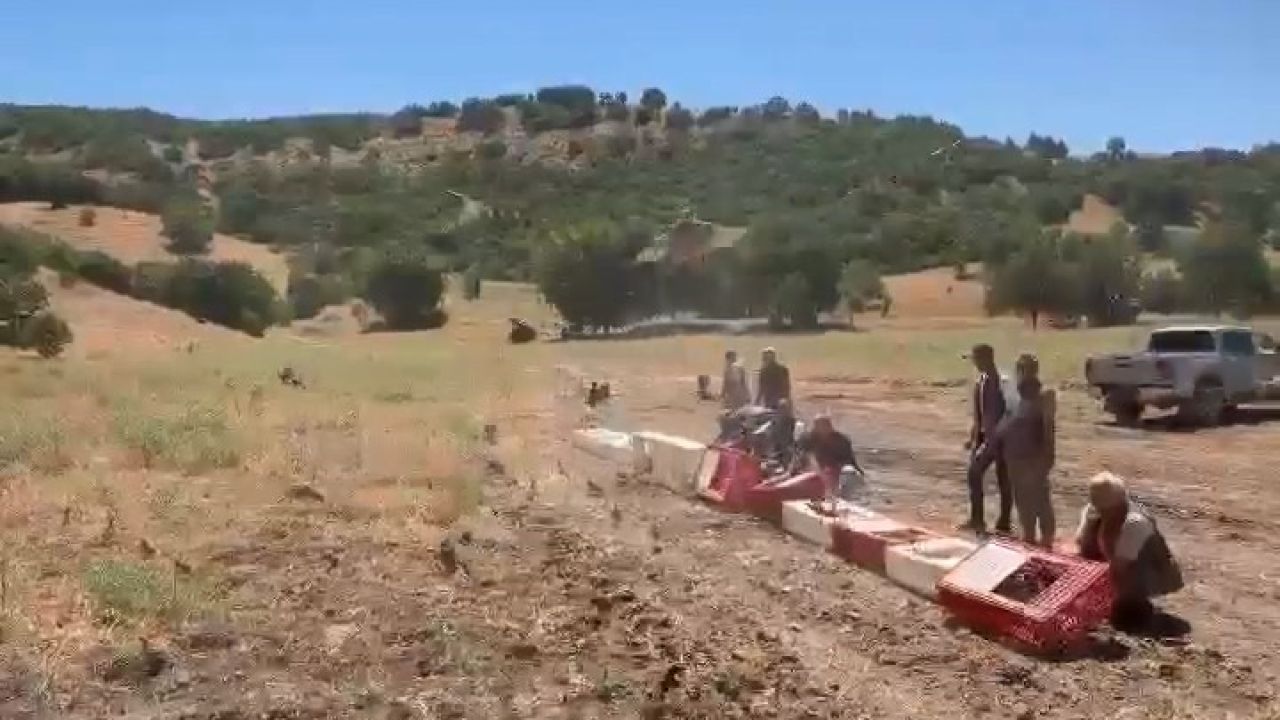 Elazığ’da kenelerle mücadele için doğaya keklik bırakıldı