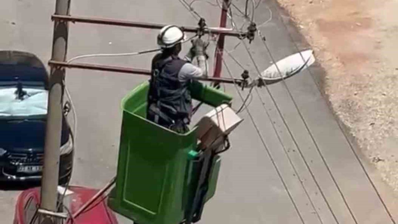 Elektrik tellerine takılan kuş kurtarıldı
