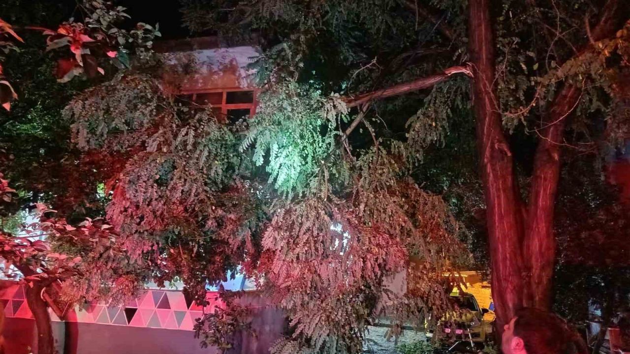 Erdek’te fırtına ve dolu yağışı: Ağaçlar devrildi, çatılar uçtu