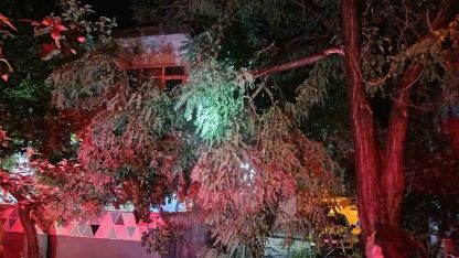 Erdek’te fırtına ve dolu yağışı: Ağaçlar devrildi, çatılar uçtu