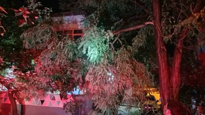 Erdek’te fırtına ve dolu yağışı: Ağaçlar devrildi, çatılar uçtu