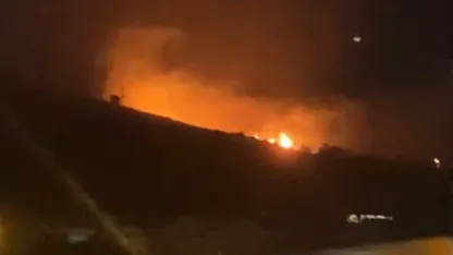 Erdek’te yüksek gerilim hattına yıldırım düşmesi sonucu yangın çıktı