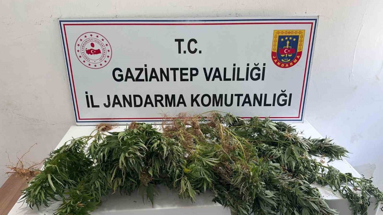 Gaziantep jandarmadan uyuşturucu operasyonu