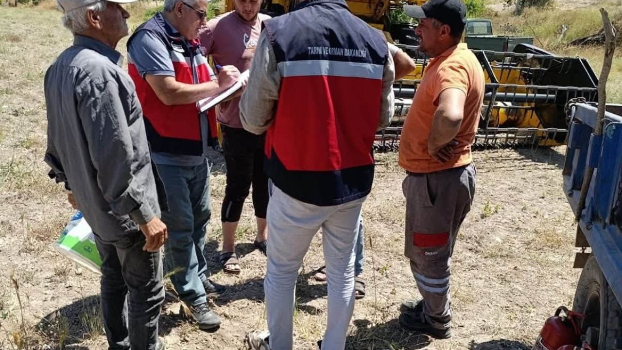 Gediz’de biçerdöverle hasat kontrolleri sürüyor
