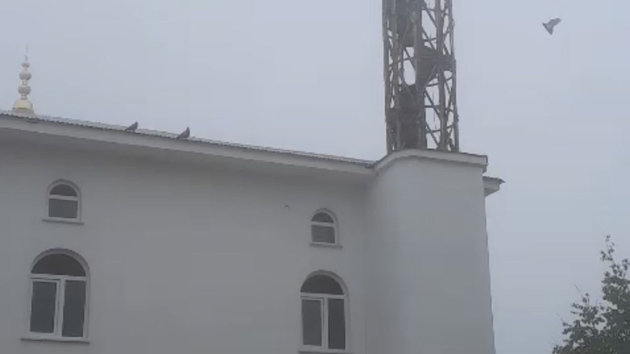 Güvercin yuvası minare yıkımını erteledi