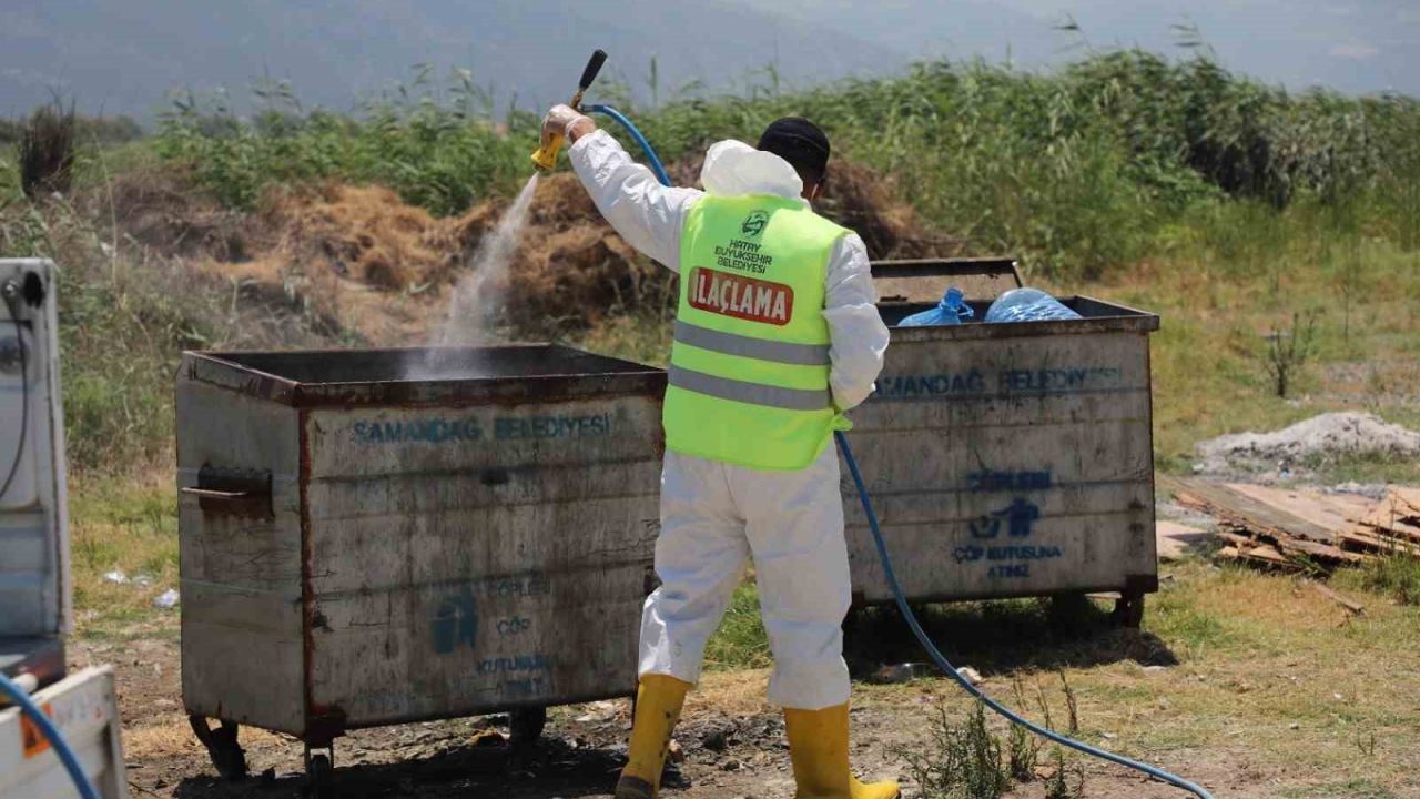 Hatay Büyükşehir Belediyesi il genelinde ilaçlama çalışmalarına aralıksız devam ediyor