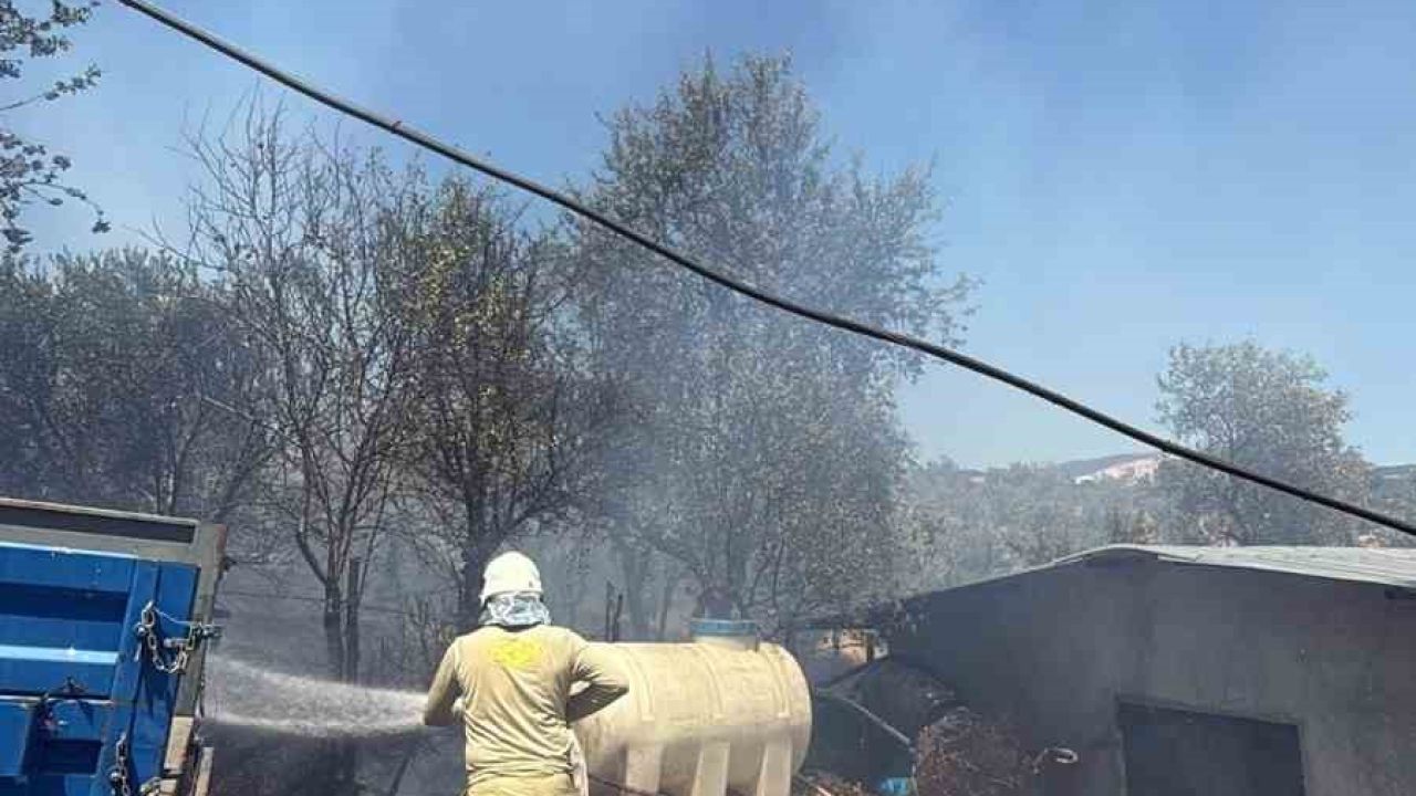 Havran Fazlıca’da korkutan yangın