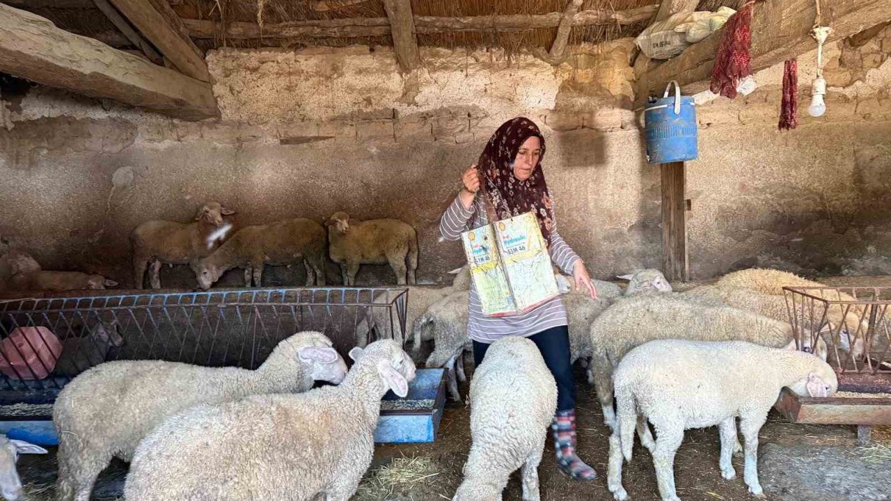 "Hayvanlara büyü yaptı" denilerek vahşice öldürülen adamın karısı tek başına çobanlık yaparak 2 oğlunu okutmaya çalışıyor