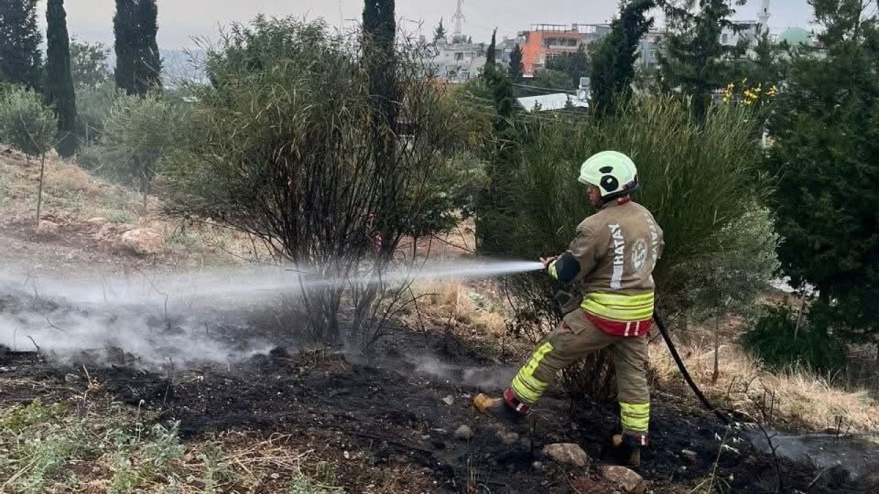 İskenderun’da otluk alan yangını