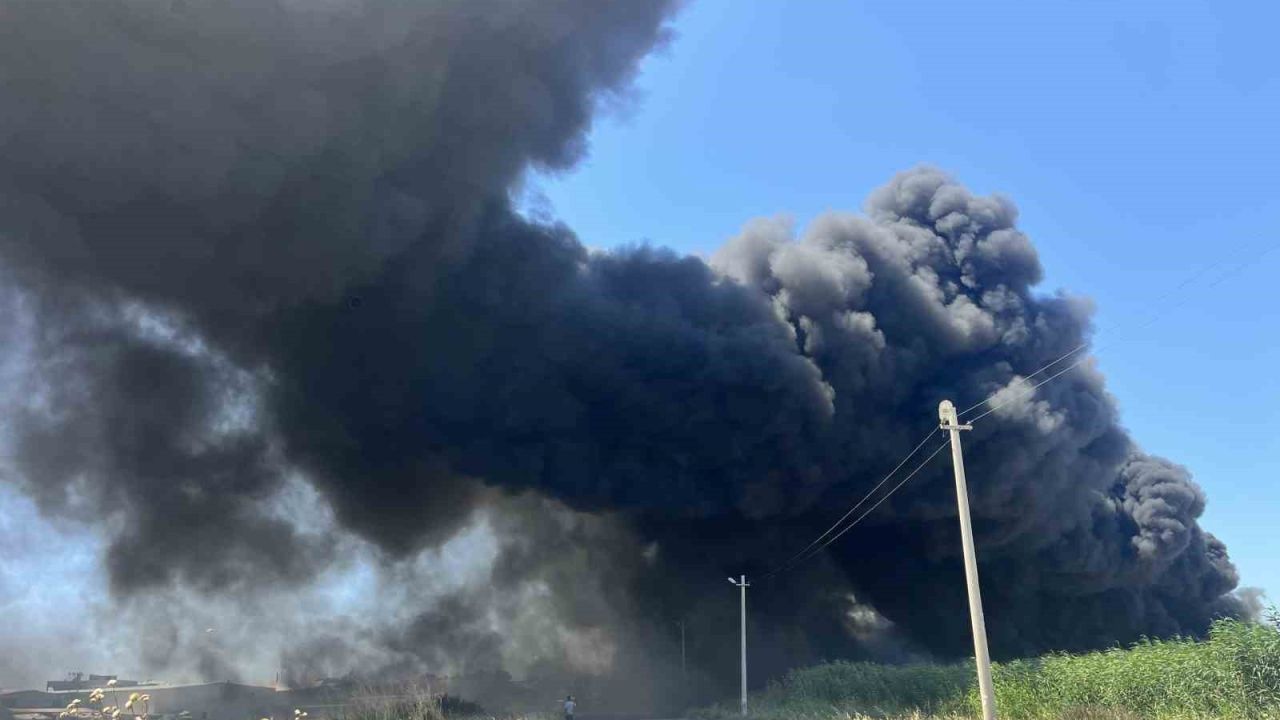 İzmir’de geri dönüşüm fabrikasında korkutan yangın