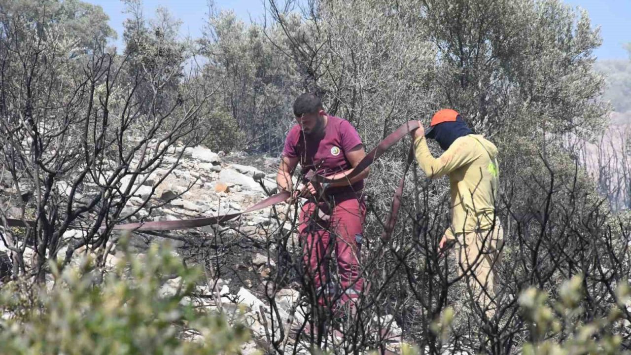 İzmir’de ormanlık alanda çıkan yangın erken müdahaleyle kontrol altında