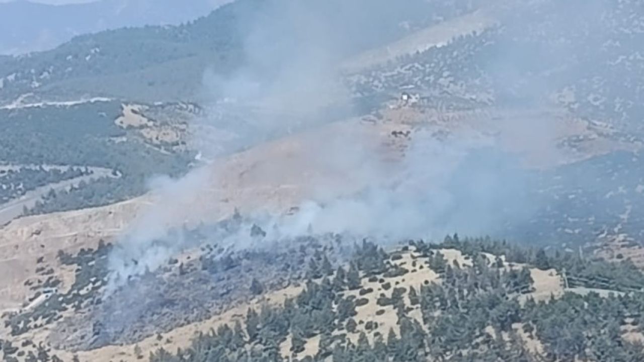 Kahramanmaraş’ta orman yangını