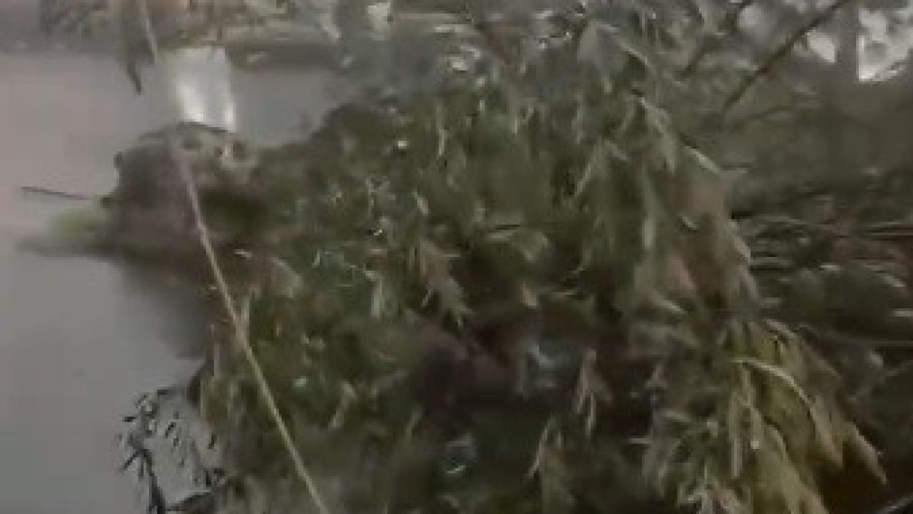 Kars’ta fırtına çatıları uçurdu, ağacı kökünden söktü