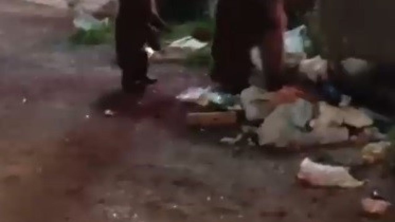Kars’ta vatandaş ayılara türkü söyledi, o anlar sosyal medyayı salladı