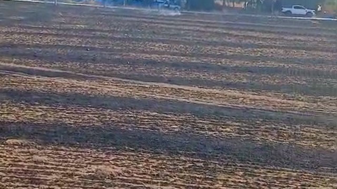Keskin Mahallesi’ndeki ot yangını büyümeden söndürüldü