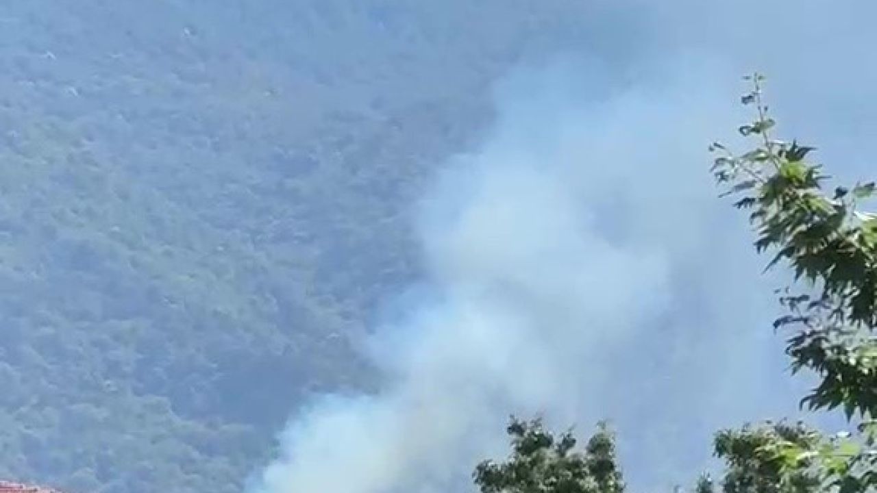 Kestel’de orman yangını