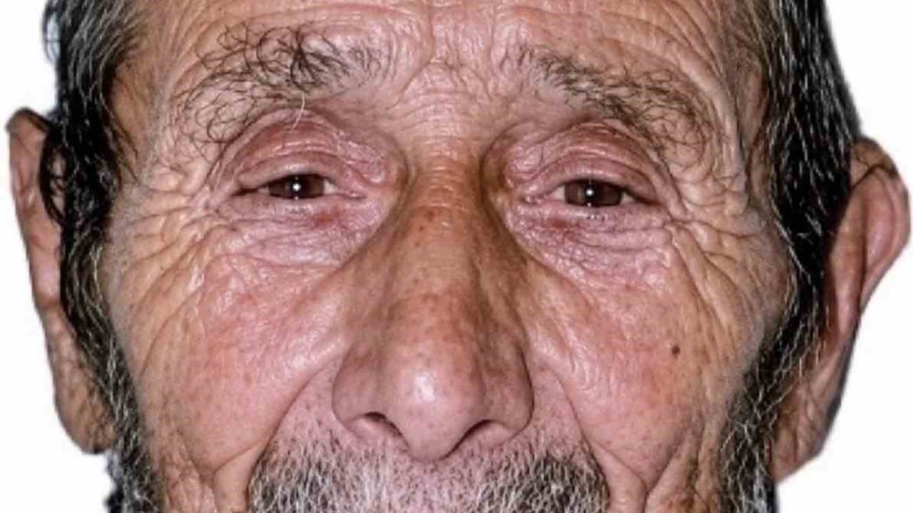 Kestiği ağacın altında kalan yaşlı adam hayatını kaybetti