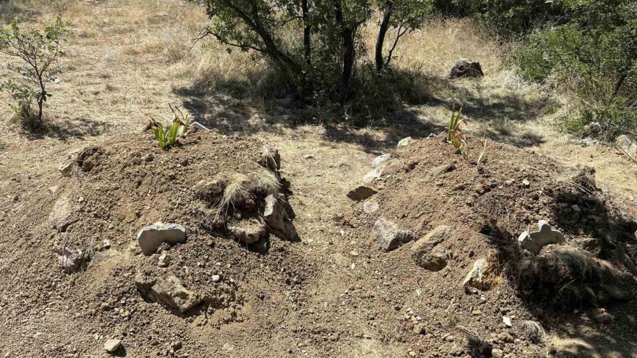 Kiraz yedikten sonra zehirlenerek öldükleri iddia edilen çift yan yana toprağa verildi