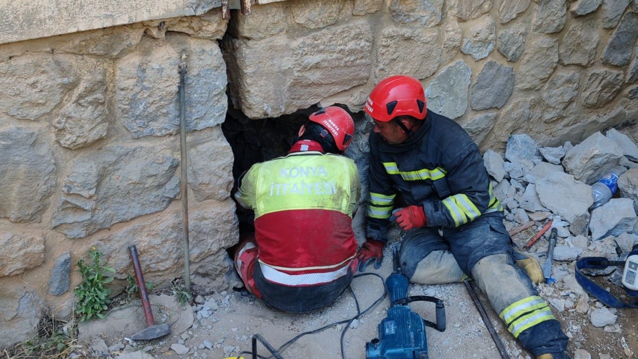 Konya’da duvar arasında kalan kediye itfaiyeden 9 saatlik kurtarma operasyonu