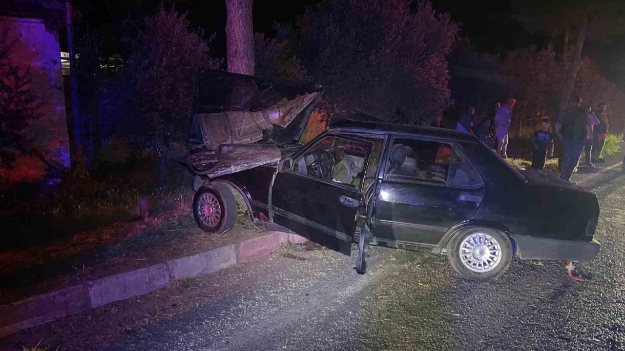 Köpeğe çarpmamak için ağaca çarpan sürücü hayatını kaybettti