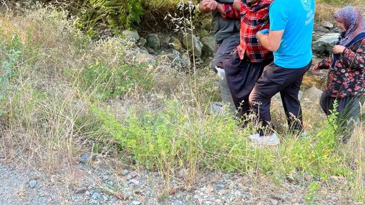 Kozan’da kayalıklardan düşen şahsı orman ekipleri kurtardı