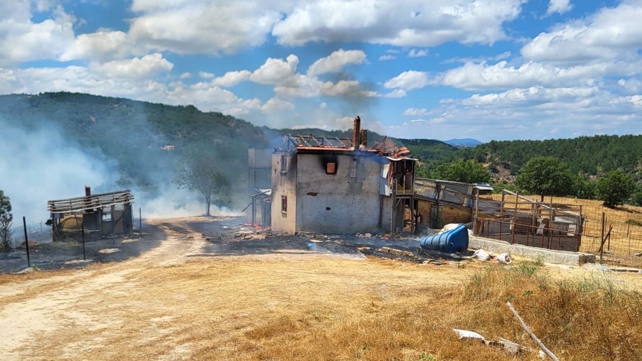 Kütahya’da ev yangını ormana sıçradı, 3 hektar alan zarar gördü
